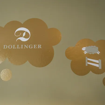 Dollinger 3* אינסברוק
