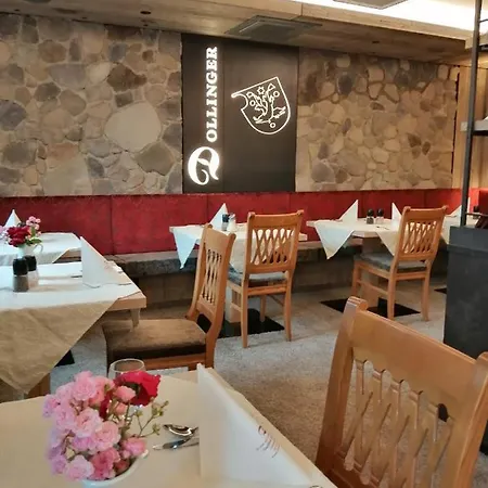 فندق ضيافة دولينغر
