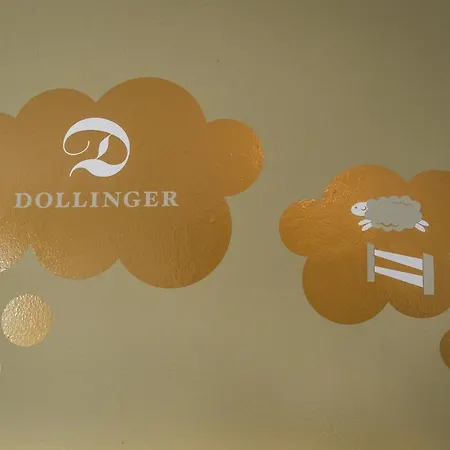 Dollinger Ξενοδοχείο 3*