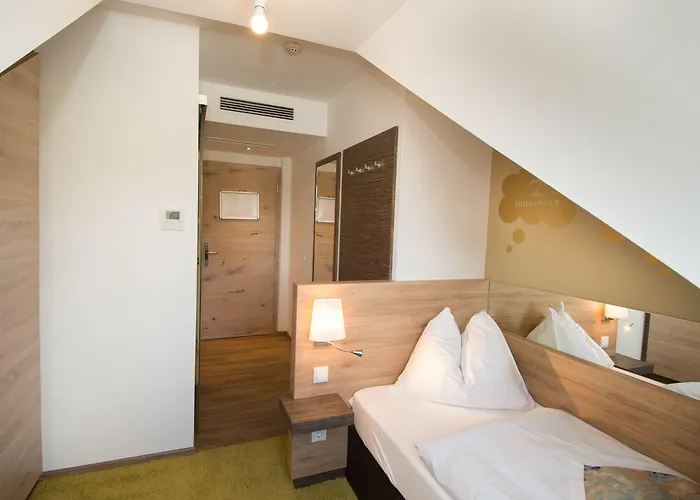 Hotel Dollinger 3*