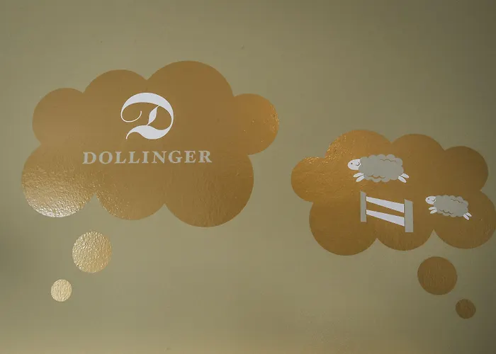 Dollinger 3* Innsbruck