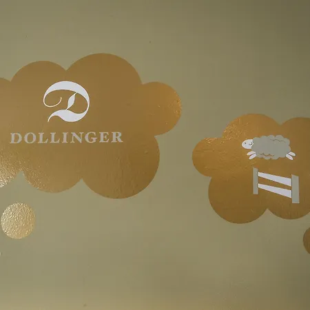 Hotel Dollinger