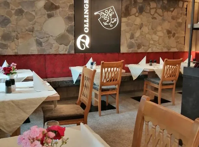 فندق ضيافة دولينغر